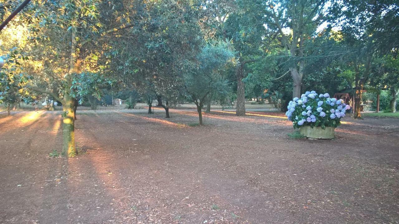 Agriturismo La Giannottola Aprilia Exterior foto